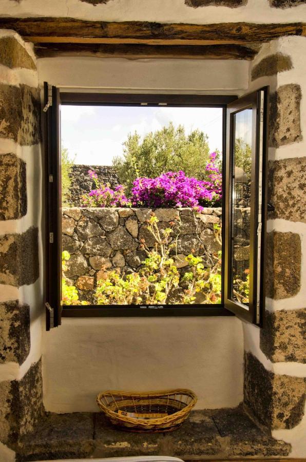 Casa Los Olivos Mácher エクステリア 写真